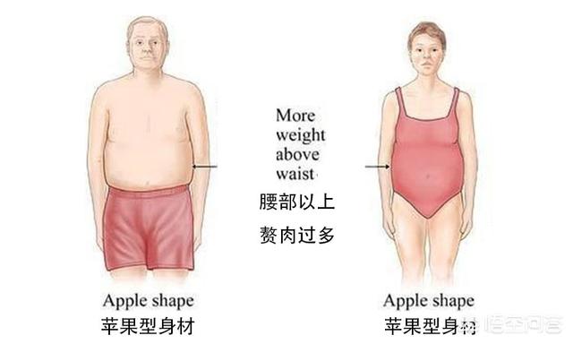 头条问答 上身胖 怎样搭配衣服好看 时尚丽人风行的回答 0赞