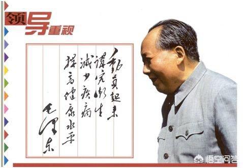 “四害”横行,在家如何除“四害”？“四害”的危害又有哪些？
