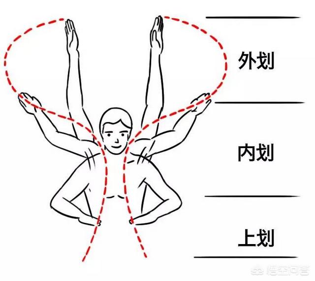 学蝶泳(学蝶泳的步骤)