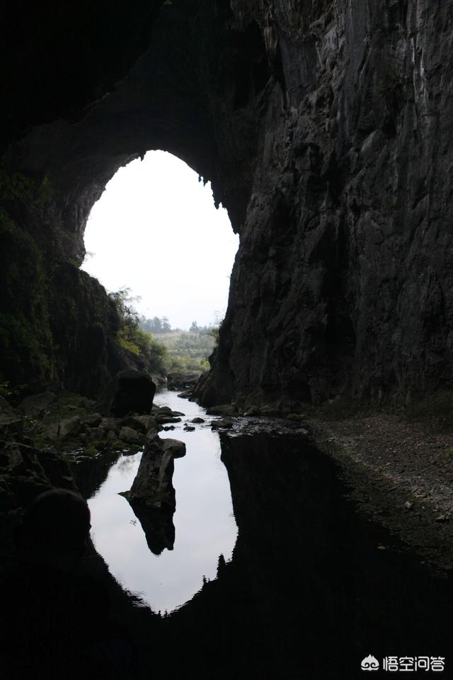 古村是哪里的村,古村奇草是哪里生产的