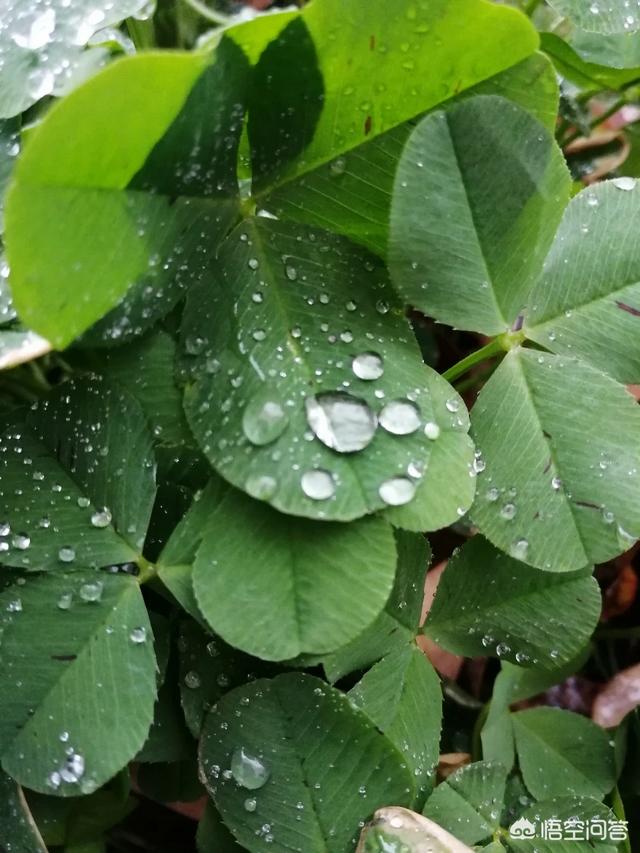 倒霉都是交好运的前兆,为啥我总觉得别人顺利，就我倒霉？