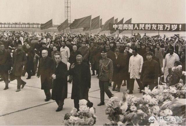从师解放军的非洲坦军,如何利用利比亚军队成就赫赫威名的？
