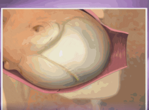 629_468gif 动态图 动图