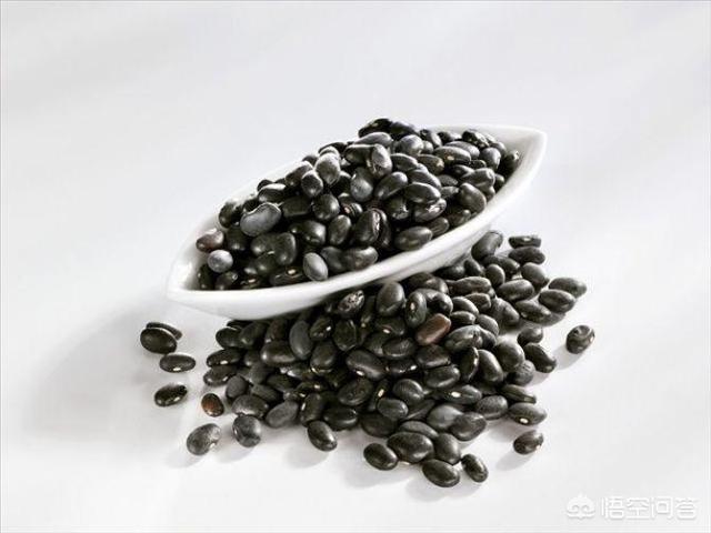 印度壮阳春黑豆，“补药一堆不如黑豆一把”，为什么说黑豆是真正的“养生高手”