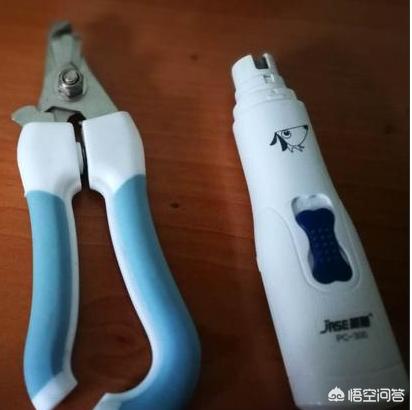 宠物电推剪 贴皮:给贵宾犬修毛都需要什么工具？