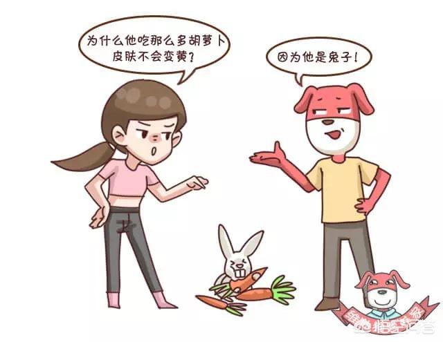 脸黄是什么原因(脸黄是什么原因该怎么调理)