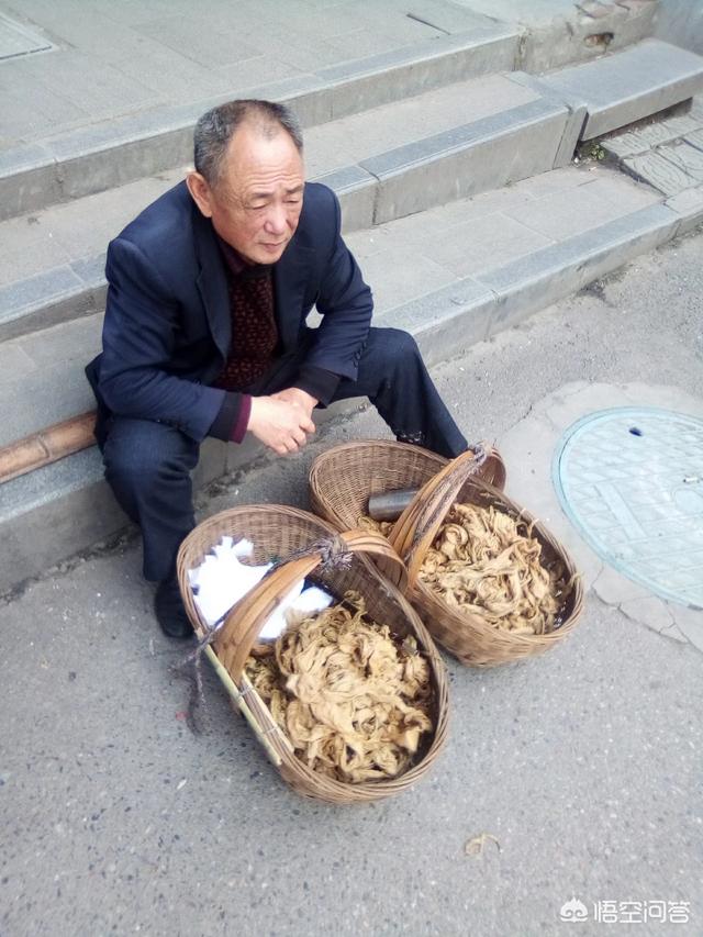 为什么没人敢碰何鸿燊:为什么现在很多人对家里的老人都感到很反感