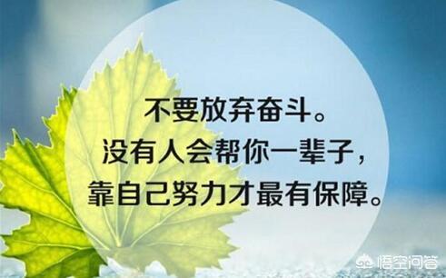笼中的金丝雀h:自己努力拼搏和嫁个好老公，到底哪个好呢？
