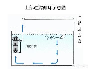 沉水生化过滤器:鱼缸里的水老是浑浊怎么办？