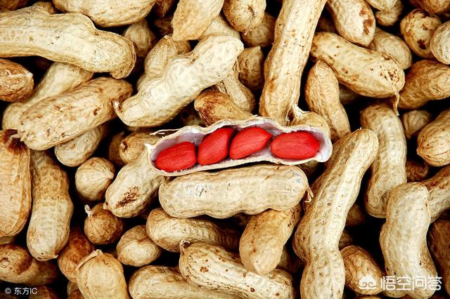 为大花生与小花生.红皮花生,白皮花生,按征特性和