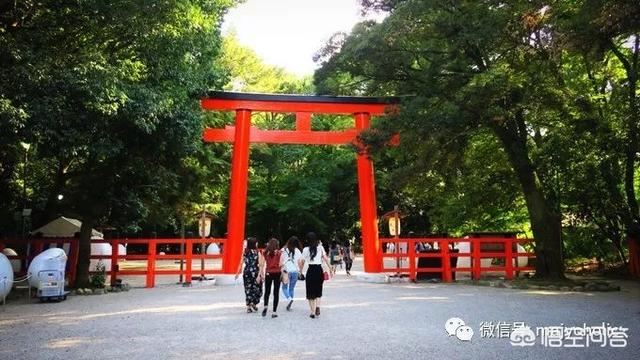 头条问答 日本自由行 时间较短 大阪和京都该选哪个 怀揣梦想的一块五的回答 0赞
