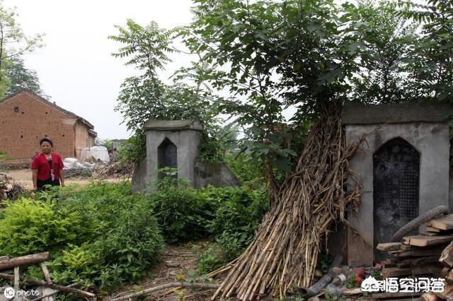 中国蛇村子思桥村，农村老人常说喜欢在坟地出没的都是毒蛇，这是真的吗？