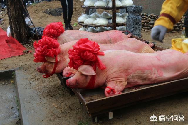 红绳戴久了会有灵性吗请问玉石真的有灵性吗如果有