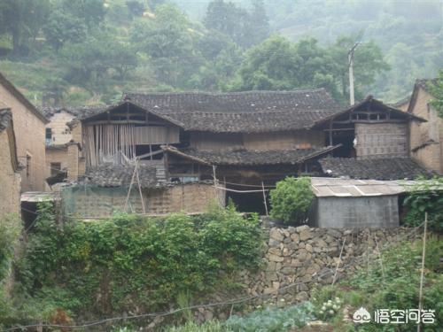 被白头蝰蛇咬伤怎么办:菜花蛇在农村哪些地方容易碰到，如果被咬该如何处理？