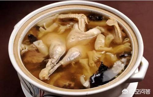 白色喜乐蒂图片:喜乐蒂缺钙腿瘸了大概多长时间能好呢？ 三色喜乐蒂图片