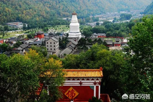 沙湖大鲵图片:最想去的旅游景点是哪里？