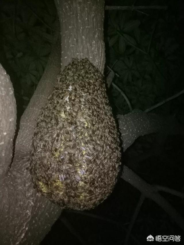 我有一个不错的创业项目？这个项目风险小,收益应该还不错,想创业手头上资金又有些困难,怎么办？