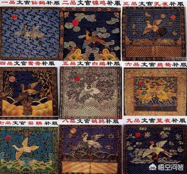 哈尼族白鹇鸟:为什么古代的文武百官衣服上都纹有飞禽走兽啊？
