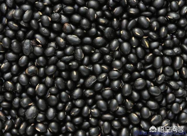 头条问答 除了黄豆 其它豆类可以成为肥料吗 有哪些可以 三农孺子牛的回答 0赞