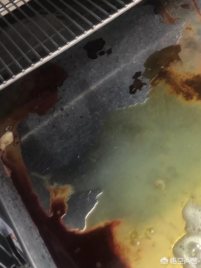 色狗狗:狗狗拉稀红棕色是什么病？