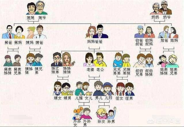 为什么姑父是父亲的父？姨夫却是丈夫的夫？