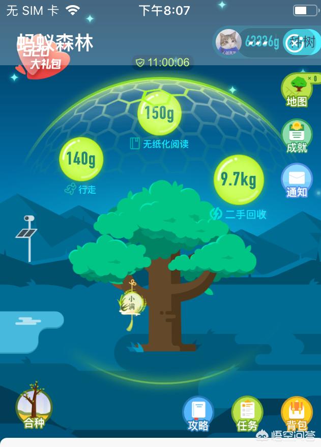 蚂蚁森林能量攻略大全？