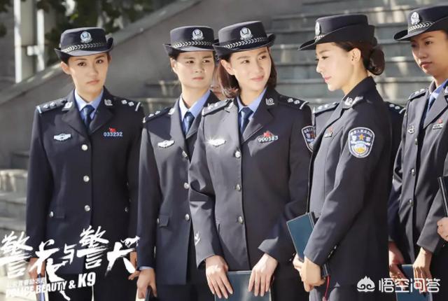 警花与警犬:如何评价电视剧《警花与警犬》？为何被频频吐槽？ 警花与警犬的狗