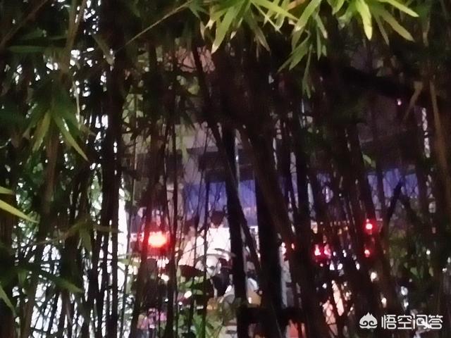 男模刘畅:当你“发达”之后，会回报家乡吗？