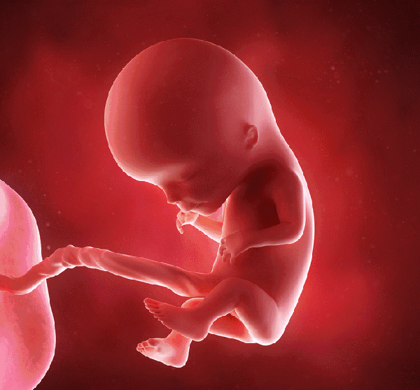 头条问答 - 怀孕33周的宝妈感觉呼吸困难,是缺氧吗?会不会影响胎儿?