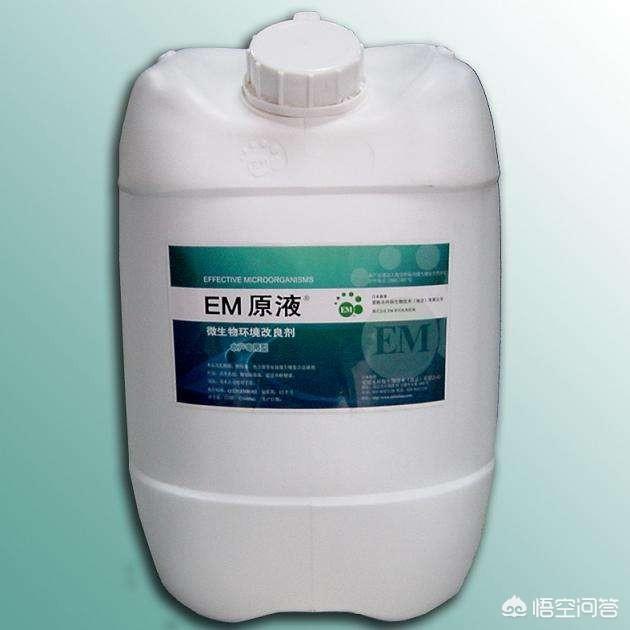 反硝化细菌怎么用于水产:水产养殖中的氨氮问题怎样解决？