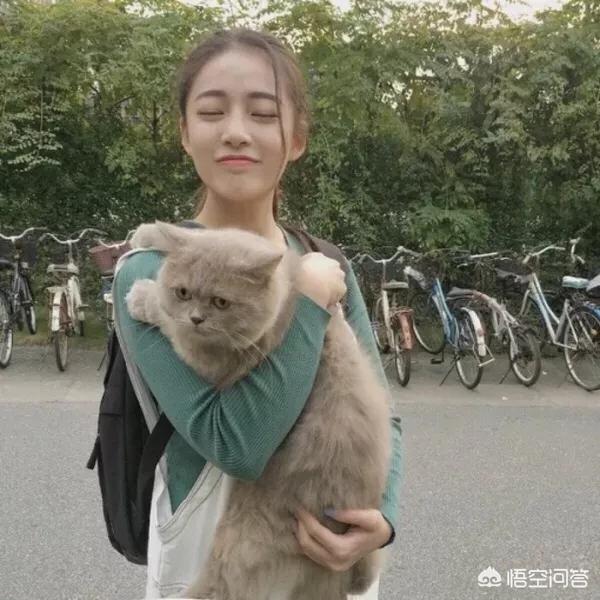 主人抓着橘猫的手跳舞:搬了新家，六岁橘猫晚上一直叫没停过，怎么办？