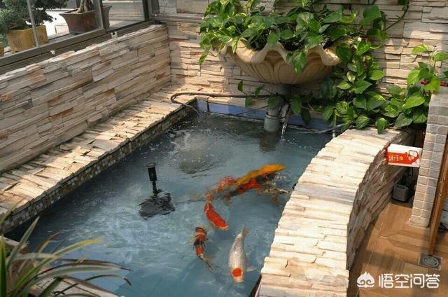 1.5米水草造景:鱼缸造景，种了绿植就加水吗？