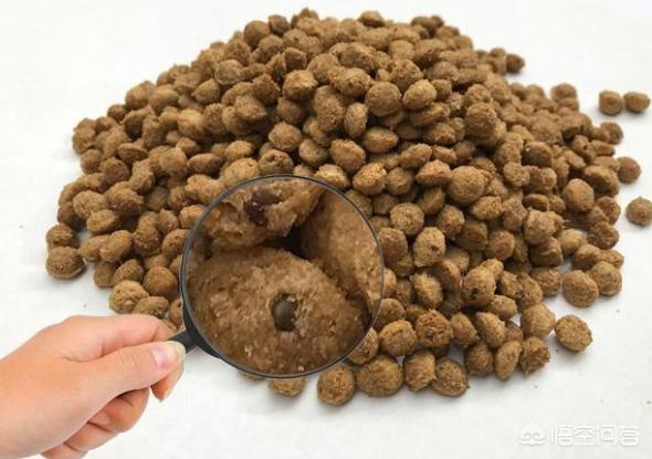 德牧幼犬多少钱一只:东德牧羊犬的价格多少钱？该怎么挑选幼犬？