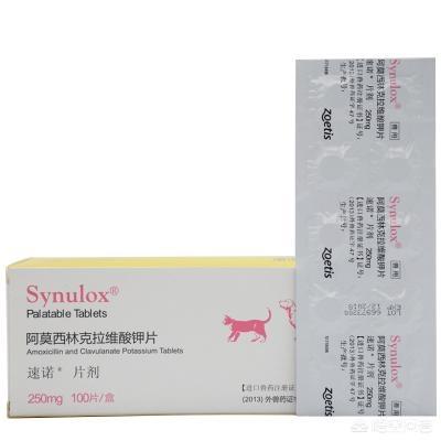 猫咪尿频尿急尿不尽用什么药:猫咪尿频尿少该吃什么药 布偶猫尿频尿急会自愈吗？