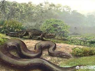 贵州挖出4吨大蛇恐龙，贵州山里有“龙吟”，未见真龙，未闻龙吟，如何判断类似龙吟声