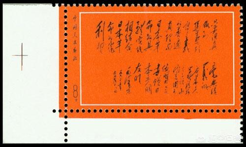 角蛙价格排名:有牙齿，咬合力超过狼的魔鬼蛙，能猎杀恐龙吗？ 角蛙价格排行