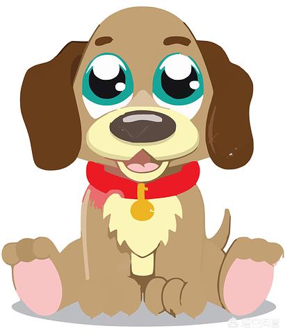 犬钩虫病图片科手机版:泰迪犬的哪些行为在我们眼中看来是搞笑的，但是却可能生病了？