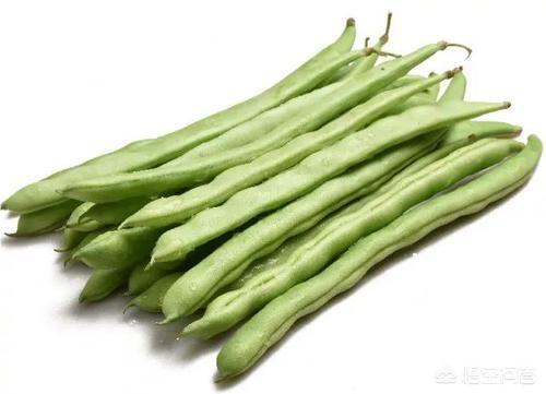 四季豆有什么营养价值？