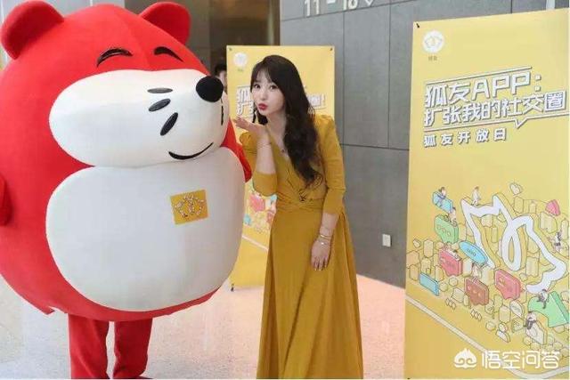 6月9日,搜狐正式推出社交产品——狐友,你觉得能成功吗？