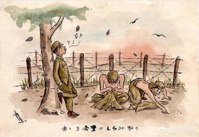 西伯利亚森林猫舍:60万日军俘虏去西伯利亚挖土豆，10年后为什么只回来50万？ Geniegoo西伯利亚森林猫舍