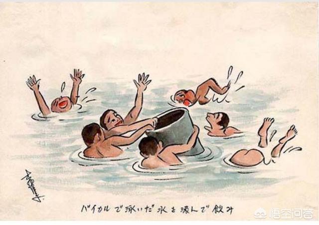 西伯利亚森林猫舍:60万日军俘虏去西伯利亚挖土豆，10年后为什么只回来50万？ Geniegoo西伯利亚森林猫舍