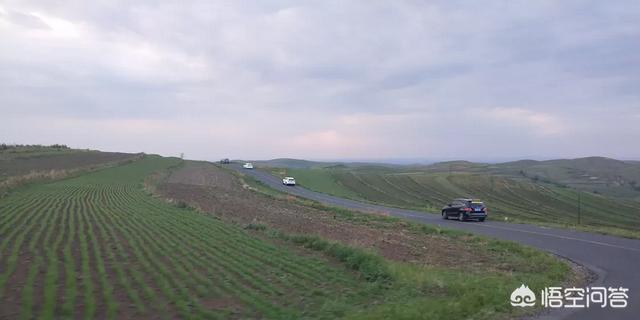 现在河北省张家口市张北县草原天路是什么景致,气温如何？