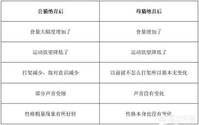 母猫绝育第二天没精神不爱动:母猫绝育后照顾注意事项有哪些？ 母猫绝育后第二天还没精神