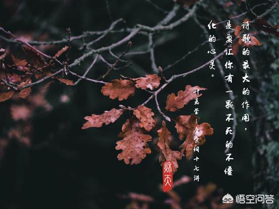 请问<a href=https://maguai.com/list/256-0-0.html target=_blank class=infotextkey>朋友圈</a>怎么设计才有个性