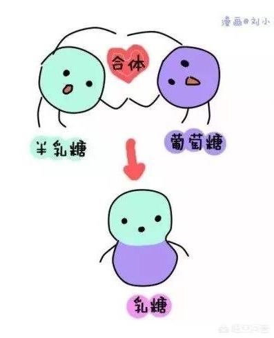 婴幼儿乳糖不耐症:乳糖不耐受的宝宝，还能坚持母乳喂养吗？