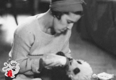 外国灵异事件女人:当年盗捕中国熊猫的美国女人下场如何？