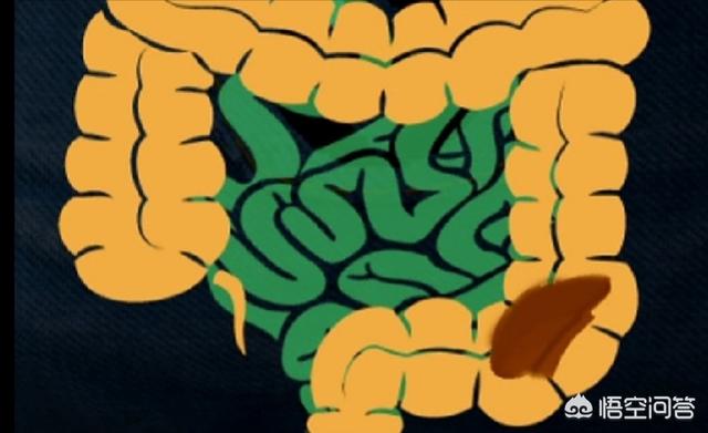 便秘几天的人体内的大便都去哪儿了