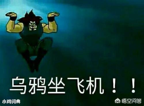 成龙的飞机:小时候我是看成龙的电影长大的，你觉得成龙的电影能给你带来什么