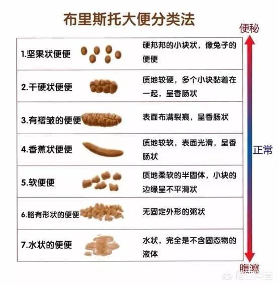 微信便便含义图解2021:大便有好多形状，都代表着哪些疾病？(大便有几种形状代表什么)