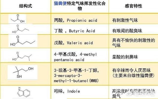 宠物除味剂哪种好:什么样的宠物除臭喷剂好用？ 宠物尿液除味剂哪个好用